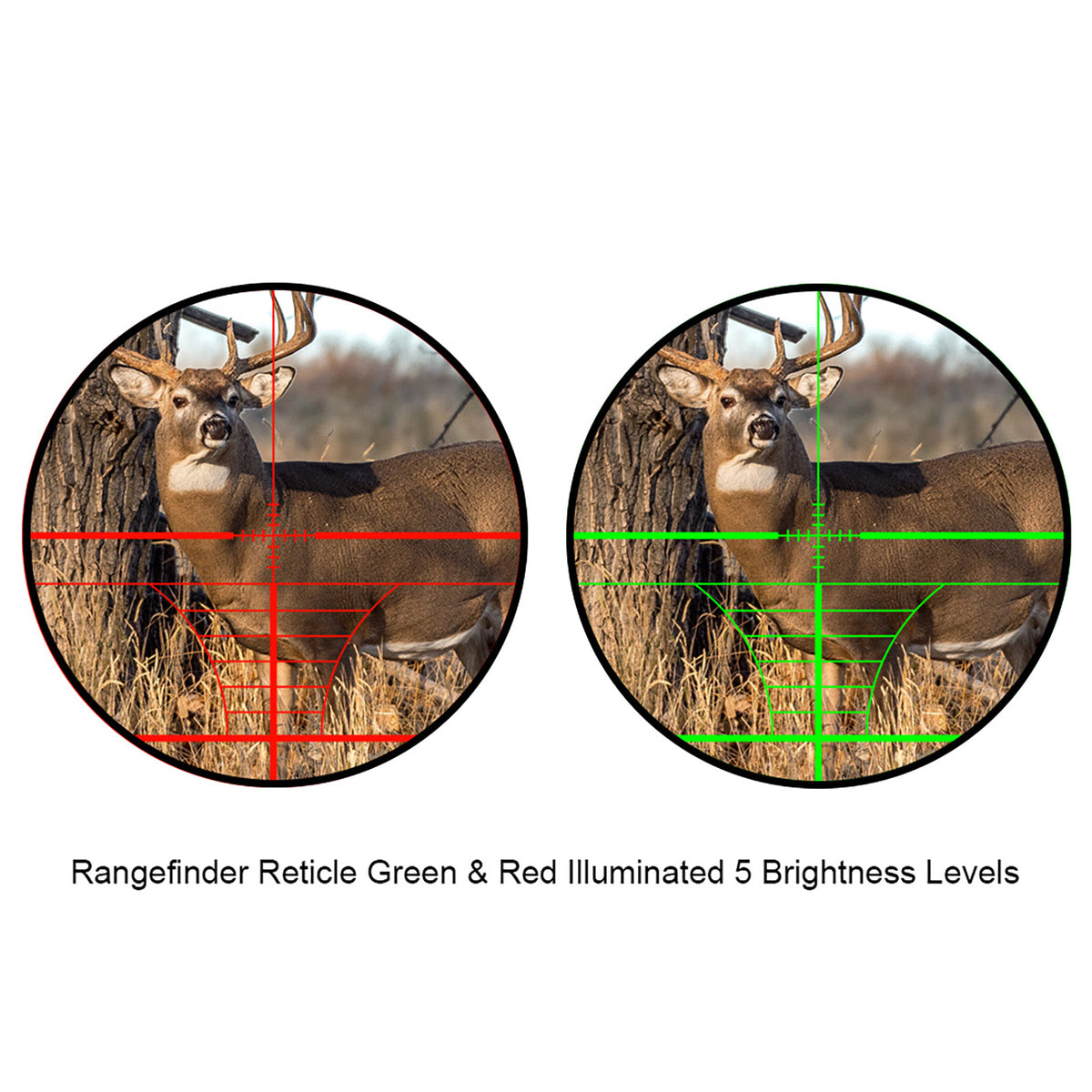 Hawkway RFS-21 Telescopic 6-24x50mm Rifle Scope